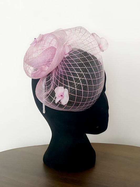 Hydragea fascinator